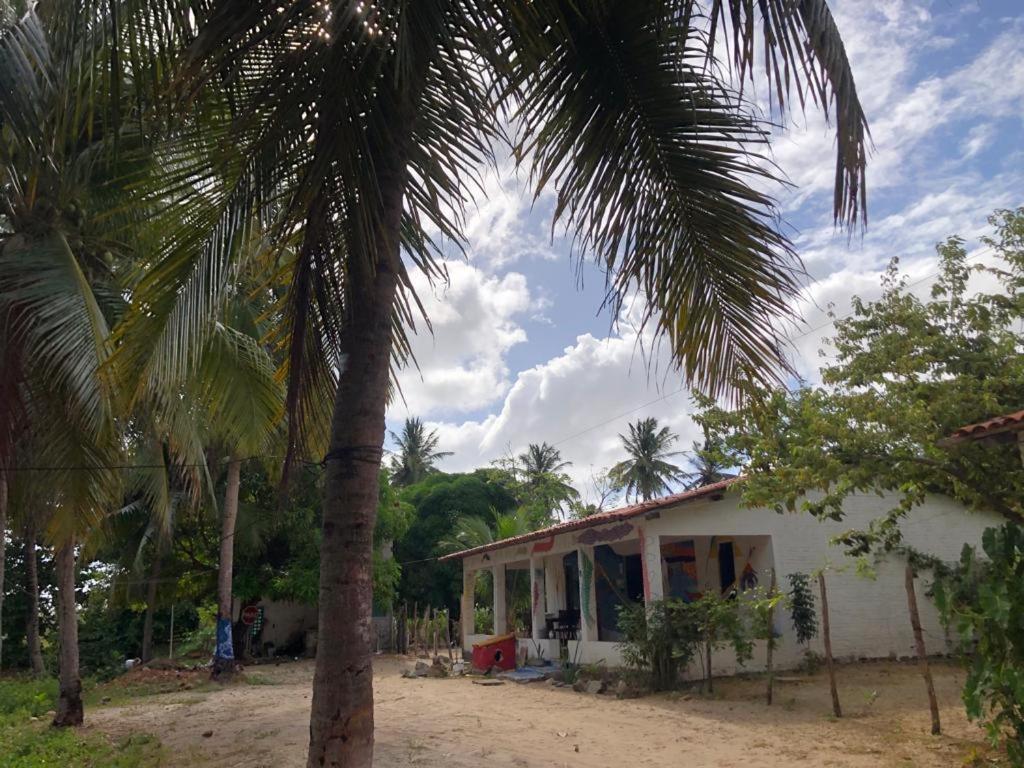 Ile Ayie Hostel Taíba Exterior foto